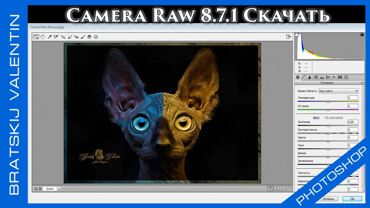 Download camera raw photoshop cs6 mac